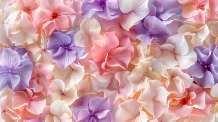 Soft Pastel Flowers in Bloom