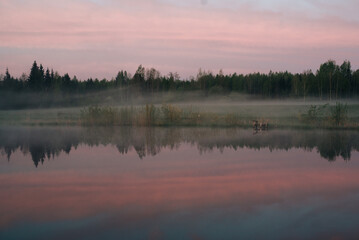 Cold summer morning in the forest with lake