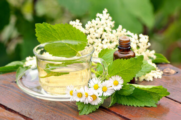 Chamomile, lemon balm and elderberry herbal tea in a glass cup, with essential oil in a bottle