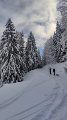 Snow covered landscape in the German Alps in cold winter