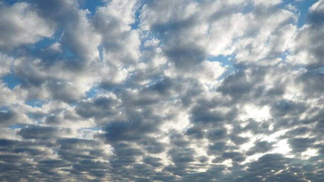 Altocumulus, middle-altitude cloud genus, stratocumuliform physical category, characterized by globular masses or rolls in layers or patches being larger and darker. Airmass instability. Timelapse