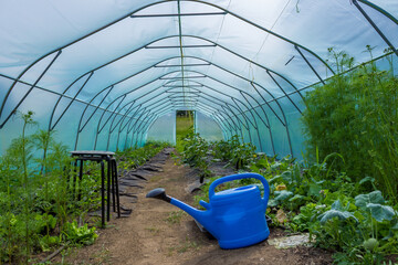 Collapsible film covered greenhouse on ground in village garden on sunny day