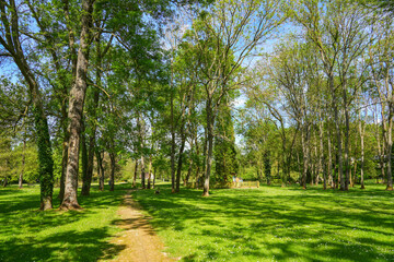 Fototapete bei efototapeten.de bestellen   