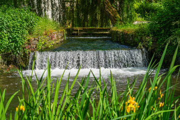 Fototapete bei efototapeten.de bestellen   