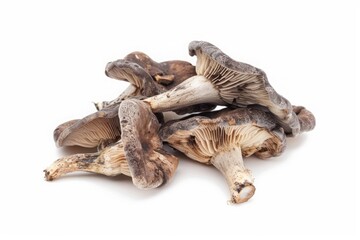 Obraz premium Cluster of dark brown mushrooms with textured caps. Detailed macro photography on a white background. Mushroom illustration for design and print. Generative AI
