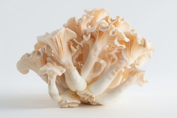 Cluster of beige mushrooms with textured caps on a white background. Studio macro shot for design and print. Generative AI