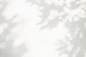 Leaf shadow and light on wall background. Nature tropical leaves tree branch and plant shade with...