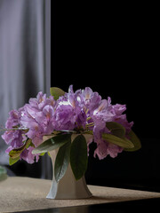 Im Zimmer auf Tisch, schwarzer Hintergrund, kleine helle Vase mit blühenden Zweigen Rhododendron...