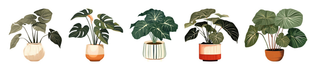 Obraz premium Indoor houseplant illustration png cut out element set