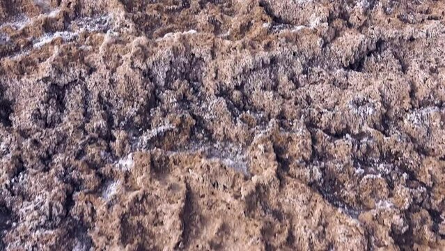 Soil science. An ephemeral lake in the desert that does not periodically fill with water. Puffed solonchak, saline deposits at the current time. Iranian deserts. Heave closeup