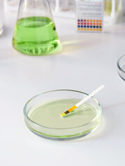 Close-up of a laboratory Petri dish with test paper for testing an alkaline acid solution.