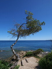 Les Issambres - VAR - France