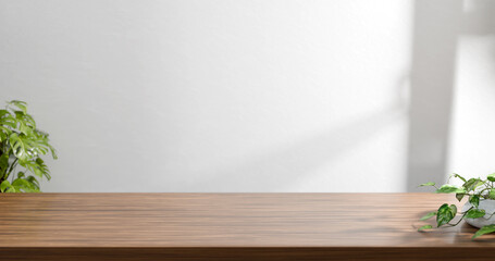 empty room with green plant