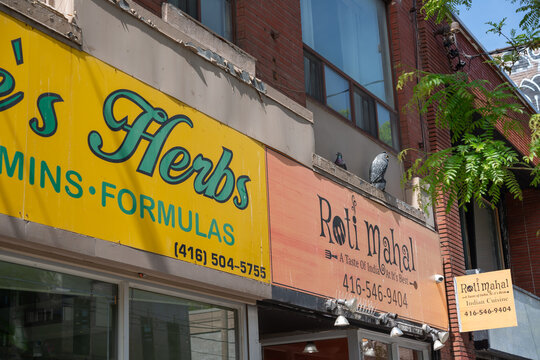 exterior building facade and sign of Roti Mahal Indian Cuisine located at 554 Queen Street West in Toronto, Canada (next to Herbie's Herbs Co)