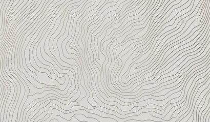 abstract blank detailed topographic contour map, Abstract geometric topographic contour map background marble texture abstract white paper background, layers, flat fiber structures, holes	