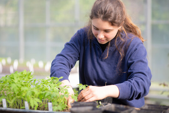 Young woman tenderly caring for plants in a greenhouse