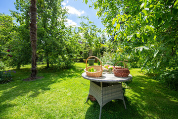 Serene Garden Setting with a Picnic Table and Baskets