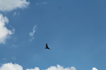 A person flying in the sky