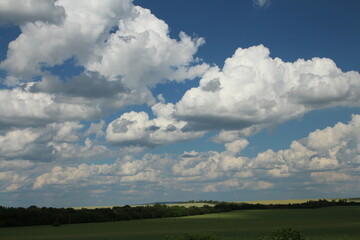 A field with trees and clouds