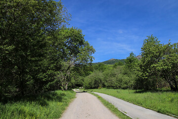 Un camino discurre por un entorno verde con cielo azul