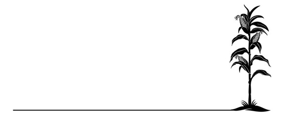 corn plant vector  © Is