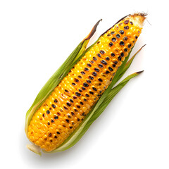 Fototapeta premium Grilled sweet corn top view isolated on white background