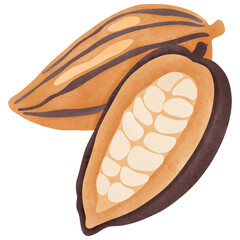 Cocoa Beans