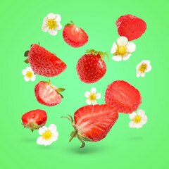 Ripe strawberries and flowers in air on green background