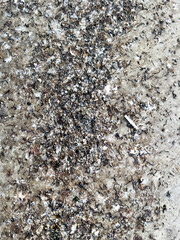 Chicken excrement on the road. Abstract background
