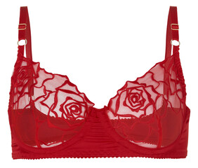 red bra isolated on transparent or white background, png