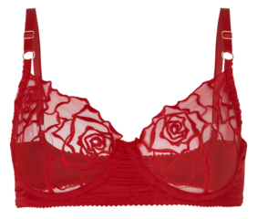 red bra isolated on transparent or white background, png