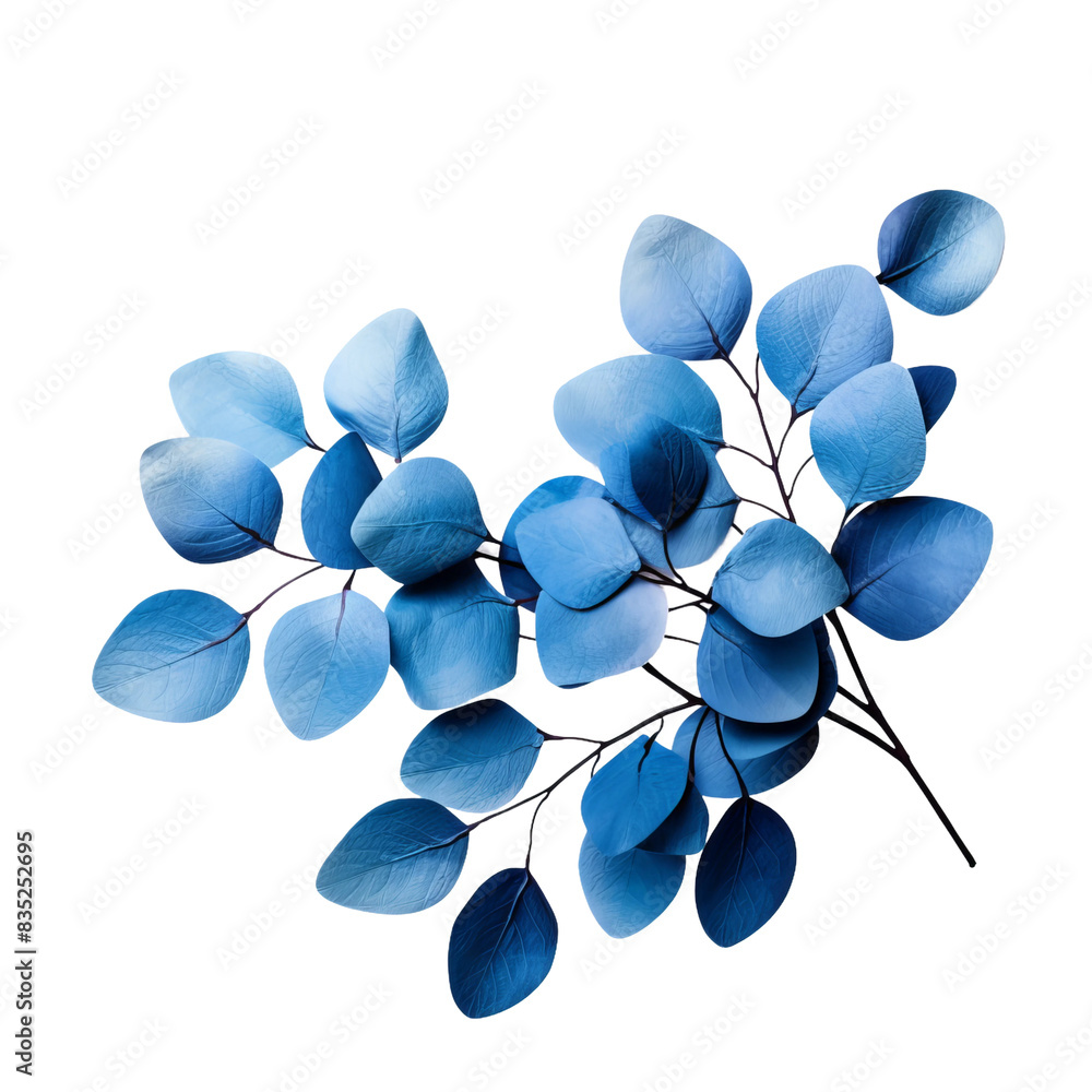 Wall mural blue bunch of leaves on white isolated background