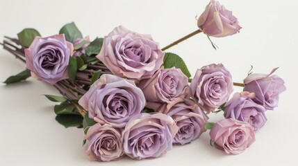 A bunch of lavender roses creating a soft, pastel display against a white background