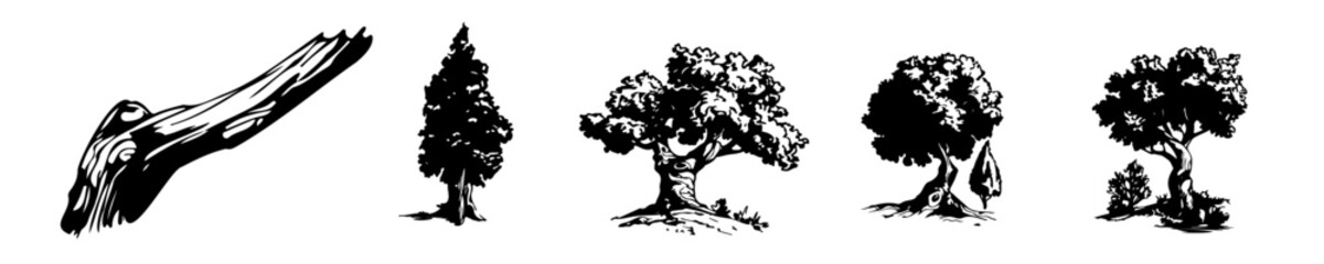 Rustic Tree Sketches, Minimalist Woodland Icons, Hand-drawn Forest Silhouettes