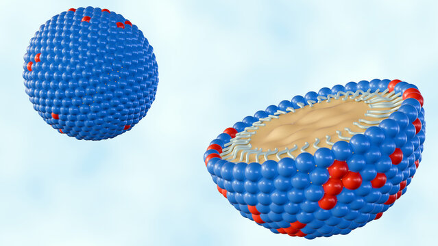 3d rendering of The nanoemulsions (NE) are tiny molecules that carry the drug components in its core. The structure is organic surfactant, oil or active ingredient and co-emulsifier