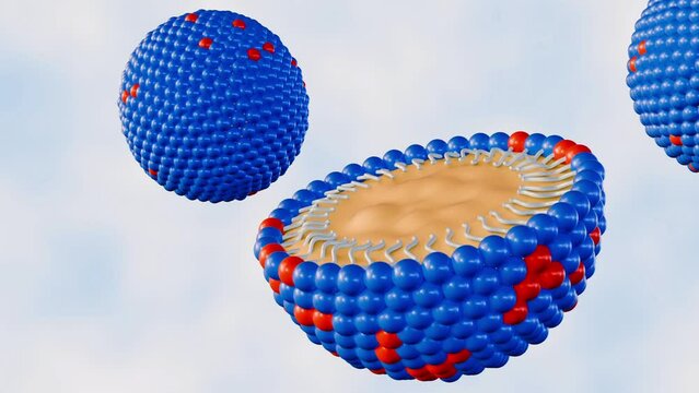 3d animation of The nanoemulsions (NE) are tiny molecules that carry the drug components in its core. The structure is organic surfactant, oil or active ingredient and co-emulsifier