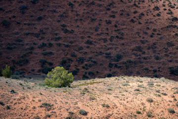 Canyon de Chelly National Monument, Northern Arizona, America, USA.