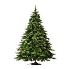 Fototapeta premium green christmas tree isolated