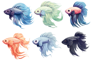 collection of various types of 2D betta fish avatars, plain white background.