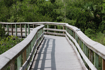 Obraz premium Wooden boardwalk through lush green park