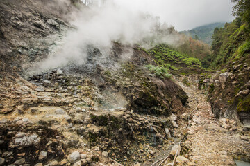 Majestic Natural Steam Vents and Rocky Terrain Set Against a Lush Forest Backdrop