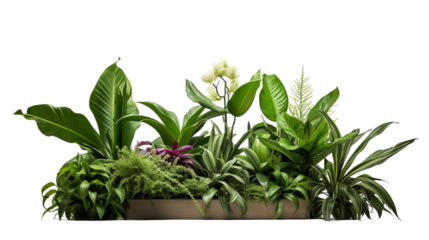  photo of a shopping mall potted plant arrangement, isolated on a white background.