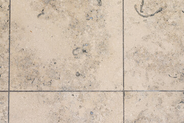 Marbleized limestone beige famous Jurassic marble. The texture of the natural stone particles...