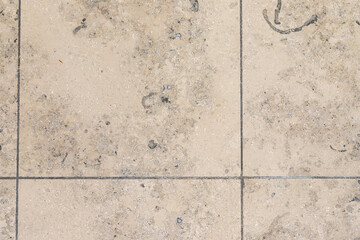 Marbleized limestone beige famous Jurassic marble. The texture of the natural stone particles ancient flora and fauna substituted calcite. Natural building materials Jura Gelb.