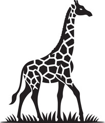 giraffe Vector