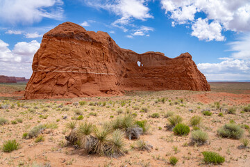 Fototapeta premium Desert landscapes in North Eastern Arizona, America, USA.