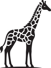 giraffe Vector