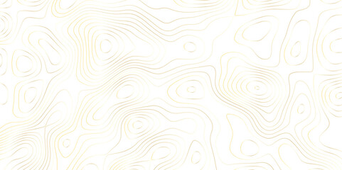 Abstract wavy topographic map. Abstract wavy and curved lines background. Abstract geometric topographic contour map background.