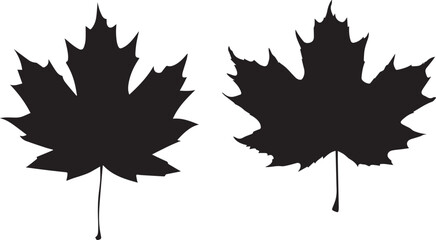 Maple leaf Silhouettes 