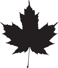 Maple leaf Silhouettes 